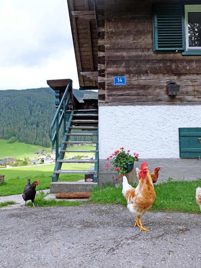 Ferienhaus Asterbach Gosau Exteriör bild